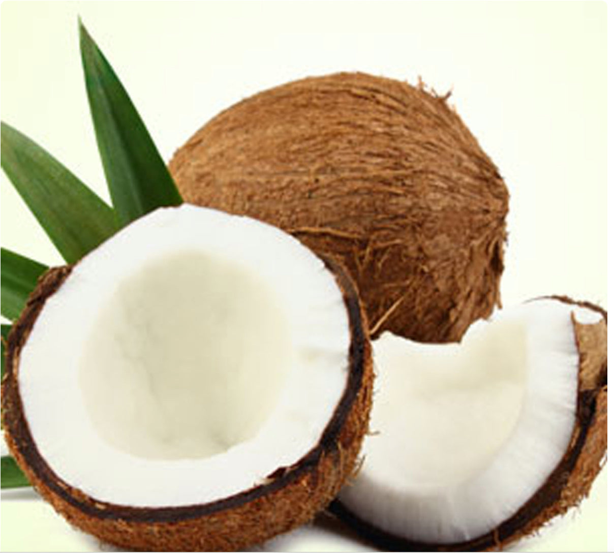 Coconut Body Lotion